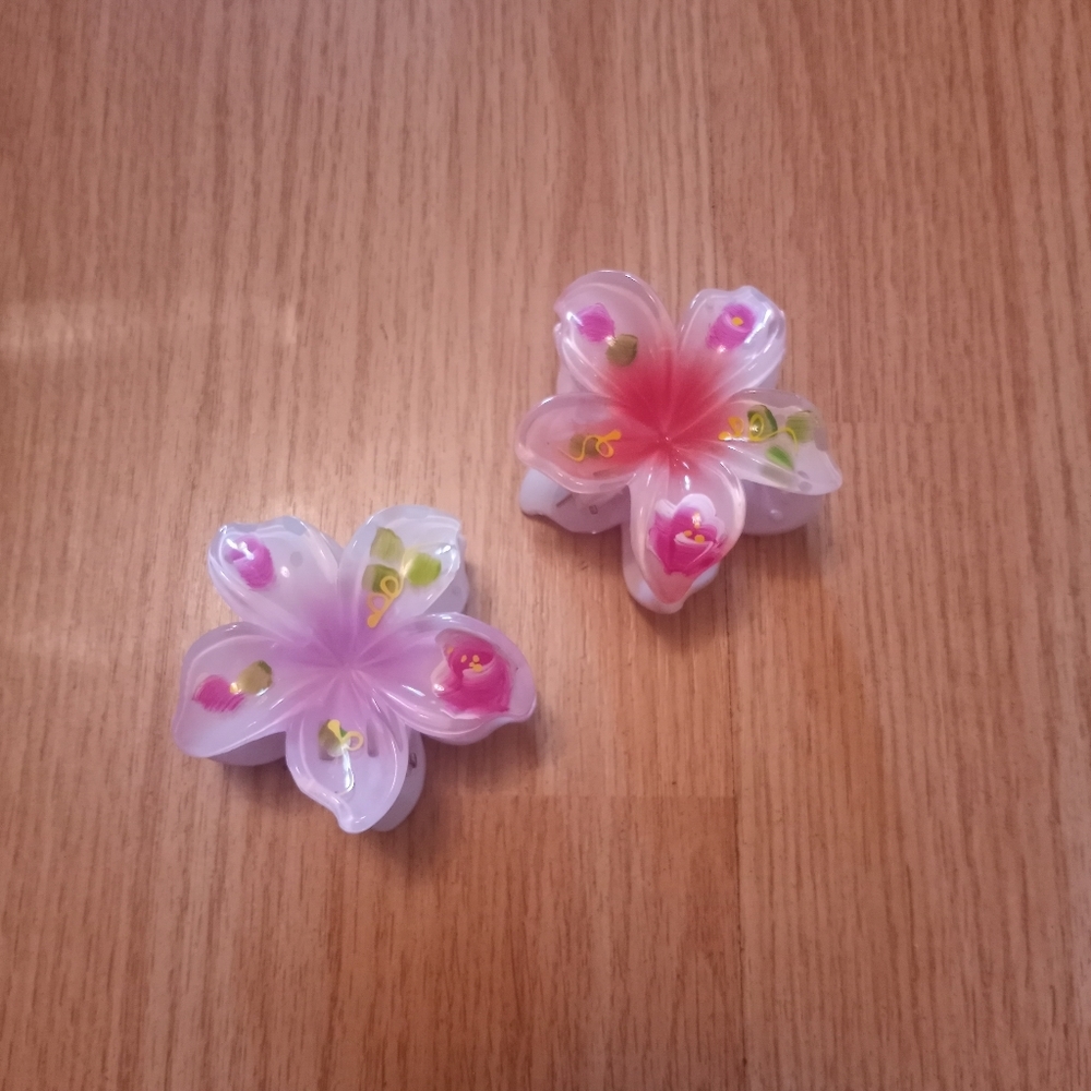 2 Hawaiian Glamour Hand-Painted Hair Clip